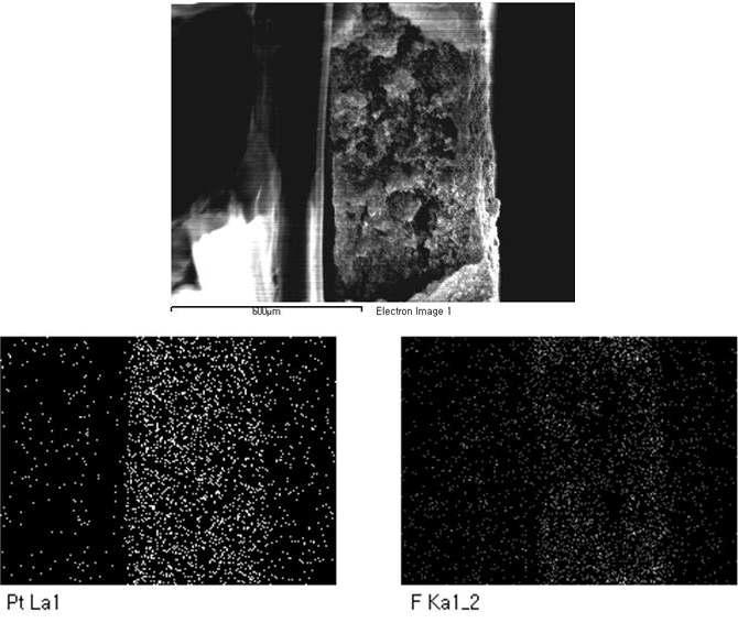 기체확산층 위에 Group B (이오노머 바인더 20%) 촉매슬러리로 형성한 전극 단면에서의 Pt, F의 EDAX 결과.