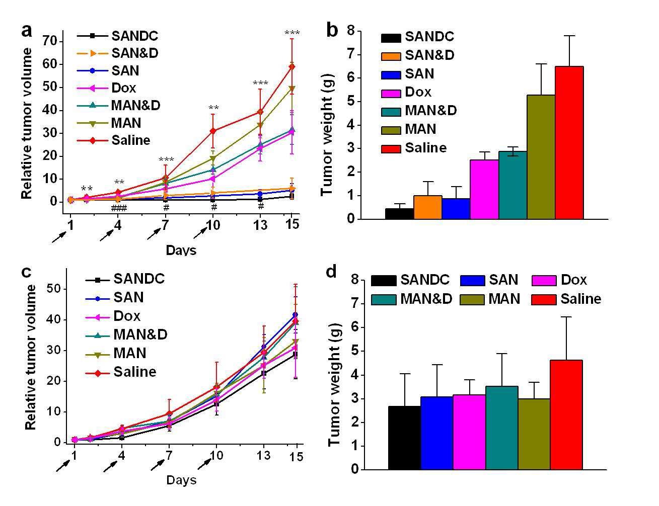 지능형 금 나노 입자와 Dox 복합체 (SANDC), 지능형 금 나노 입 자와 Dox 혼합체 (SAN 각 샘 플들을 같은 방법으로 주입한 후 레이저를 조사하지 않은 대조 실험군의 상대적인 종양 부피 변화 (c) 및 15 일 후에 종양을 적출하여 측정한 무게 (d). 각 실험당 쥐의 개체 수는 6마리 이상임.