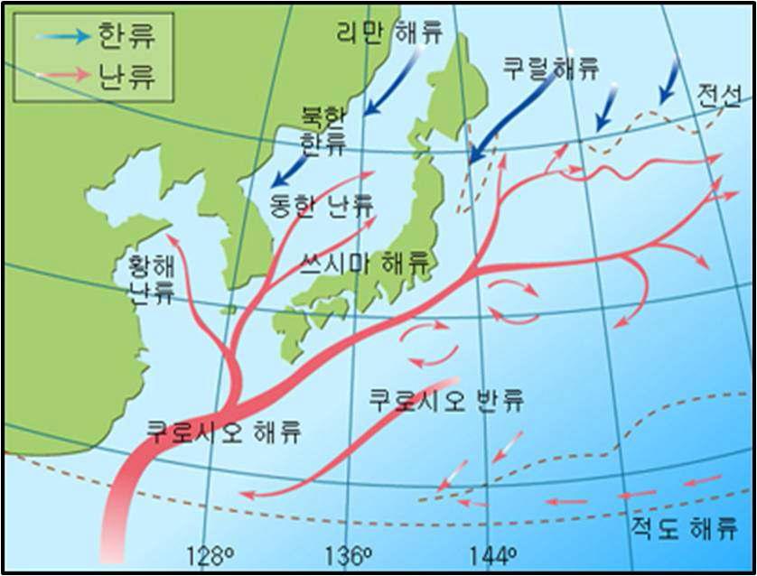 동해에 유입되는 난류들의 모식도