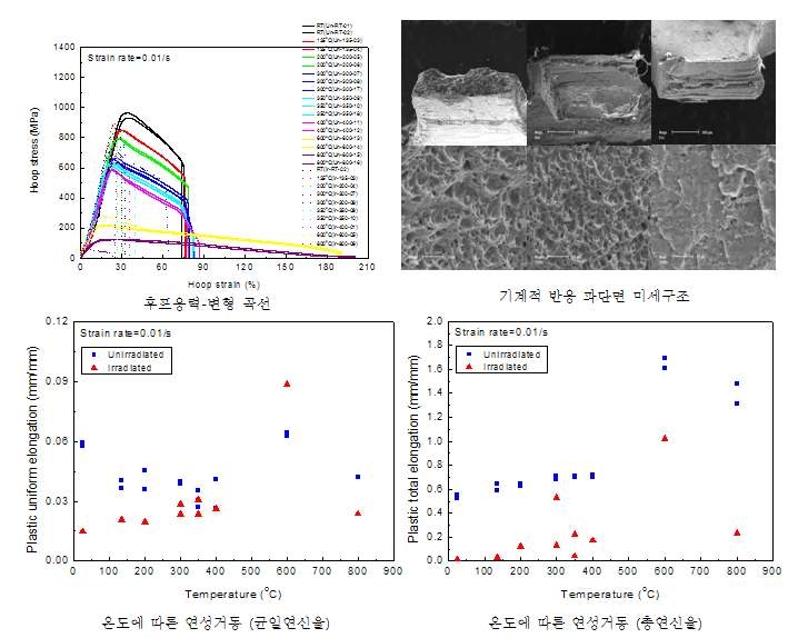 그림 3.6.3.1 후프방향 인장특성시험 주요 결과