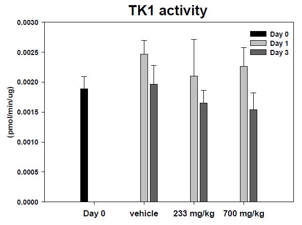 HCT8 종양에서 capecitabine 치료 후 TK1 측정
