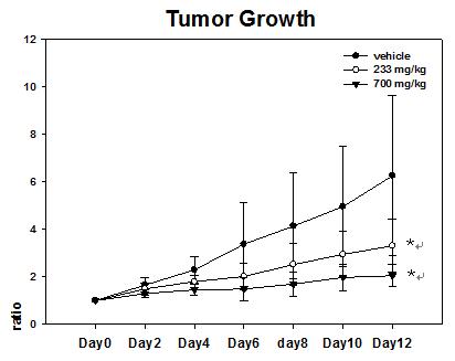 capecitabine 투여 후 Tumor 성장 곡선