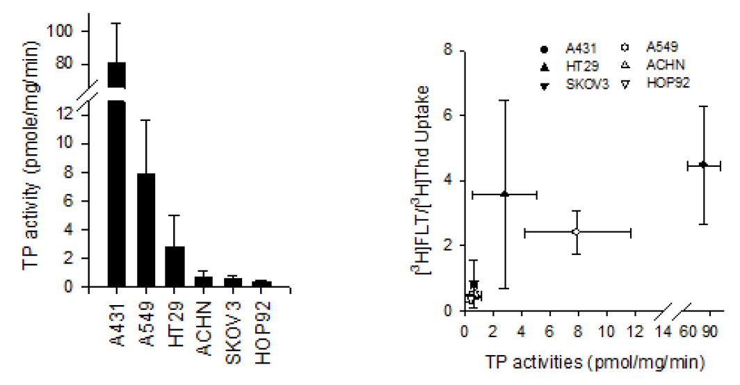 TP 활성 측정 및 [3H]FLT와 [3H]Thd 섭취율과의 상관관계 그래프