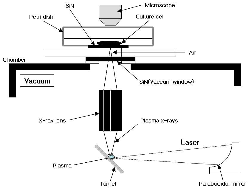 그림 3-120. 극초단 레이저의 생화학 응용 마이크로빔 시스템