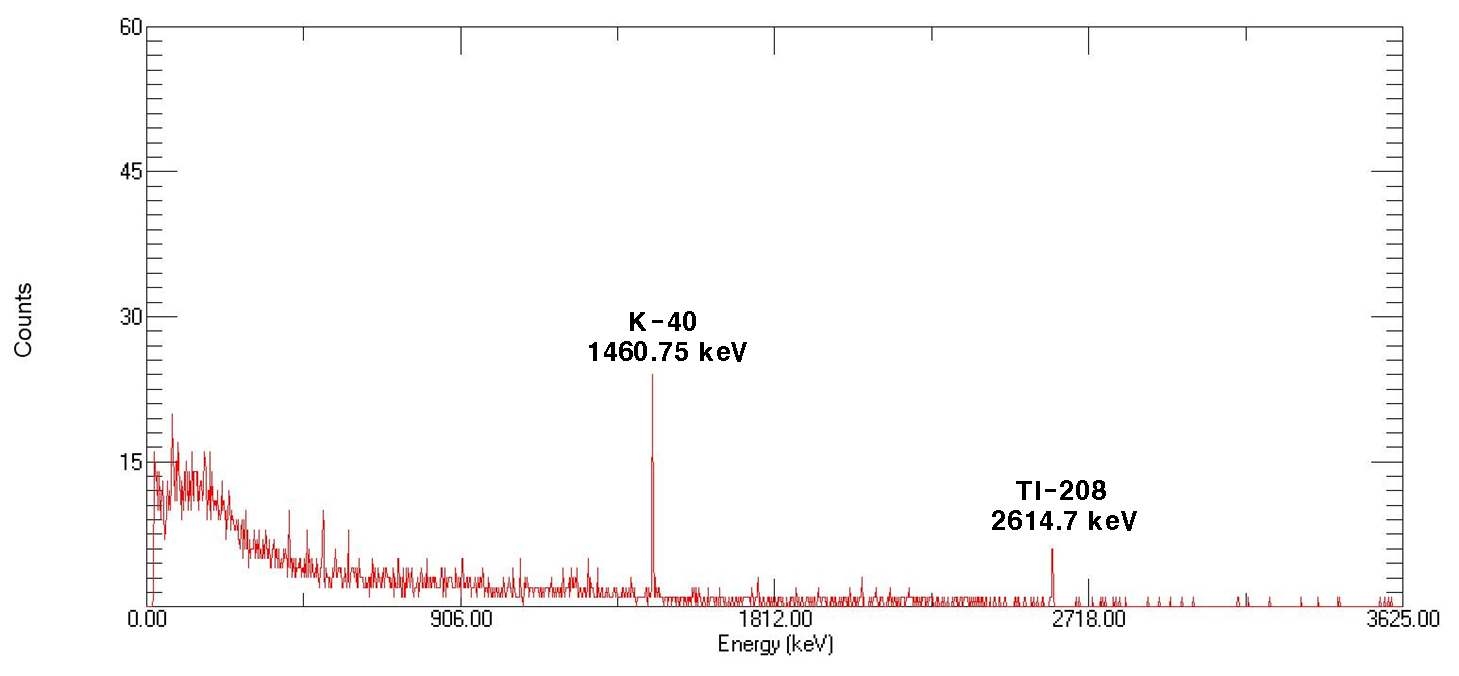 그림 3-175. 중성자-감마선 시스템에서의 바탕 신호값 에너지 스펙트럼.
