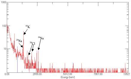 그림 3-180. D-D 중성자 발생장치를 이용한 10분 동안의 NaCl 시료 감마선 에너지 스펙트럼