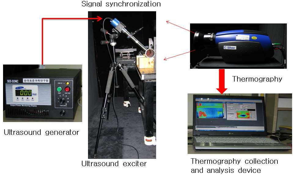 Ultrasound infrared thermography system