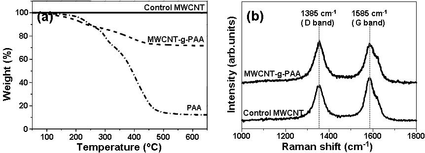 순수한 MWCNT, 폴리아크릴산(PAA),와 폴리아크릴산이 그라프트된 MWCNT(MWCNT-g-PAA)의 TGA 분석(a)와 라만 분광스팩트럼(b).