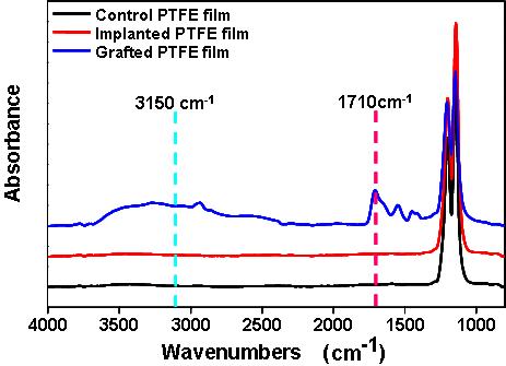 이온주입한 PTFE (Implanted PTFE)와 폴리아크릴산이 그라프트된 PVDF (PTFE-g-PAAc)의 FT-IR 스펙트럼