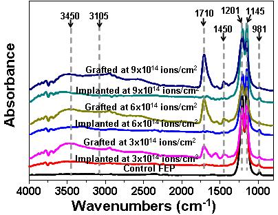 다양한 조건에서 이온 주입한 FEP (Implanted FEP)들와 폴리아크릴산이 그라프트된 FEP들의 FT-IR 스펙트럼