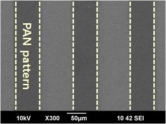 3 x 1015 ions/cm2의 이온빔 조사량에서 형성된 PAN 패턴의 SEM 사진.