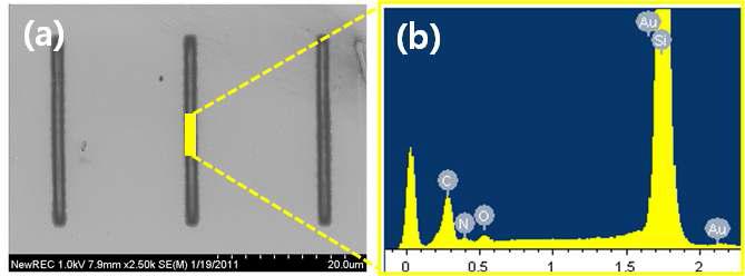 30 phr의 금 나노입자 전구체를 함유한 PVP 패턴들의 SEM 사진(a)과 EDX 스팩트럼(b).
