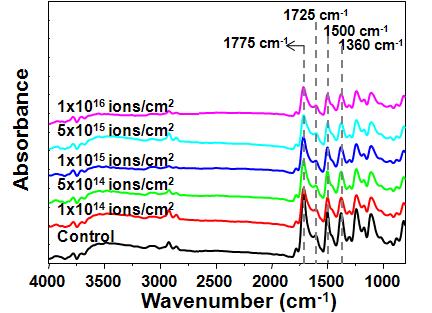 다양한 이온빔 조사량(Fluence (ions/cm2))에서 처리된 PI의 FT-IR 스펙트럼.