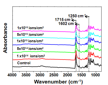 다양한 조건 (ions/cm2)에서 처리된 PEN의 FT-IR 스펙트럼.