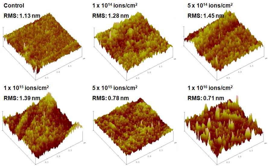 순수한 것과 다양한 이온빔 조사량(ions/cm2)들에서 조사된 PI의 원자간력 현미경(AFM) 사진들과 각각의 제곱근 표면 거칠기(RMS).