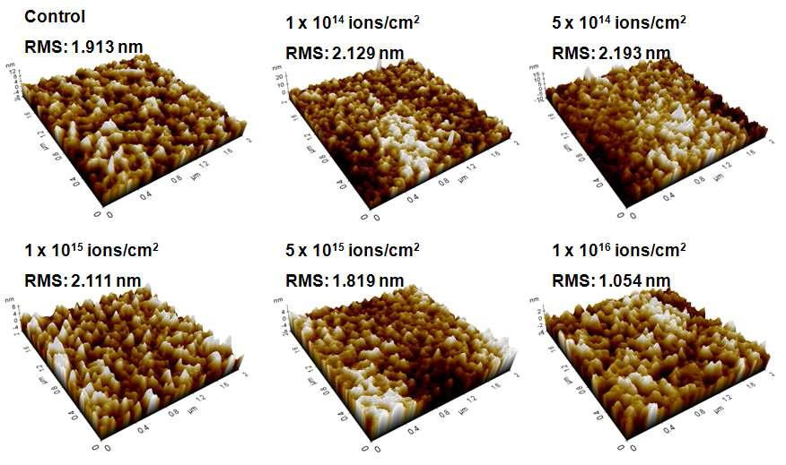 순수한 것과 다양한 이온빔 조사량(ions/cm2)들에서 조사된 PEN의 원자간력 현미경(AFM) 사진들과 각각의 제곱근 표면 거칠기(RMS).