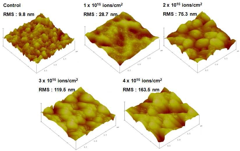 순수한 것과 다양한 이온빔 조사량(ions/cm2)들에서 조사된 PEN의 원자간력 현미경(AFM) 사진들과 각각의 제곱근 표면 거칠기(Root Mean Square of Surface Roughness (RMS).