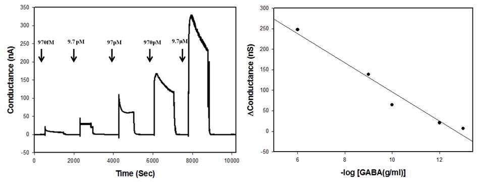 GABA 항원의 농도 변화에 따른 실리콘 나노와이어의 전도도 변화