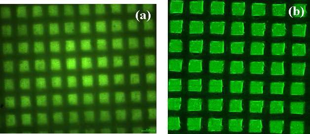 (a) PTFE-g-PAAc에 FA 패턴의 형광현미경 사진; (b) PTFE-g-PAAc에 형성된 DNA 패턴의 공초점현미경 사진