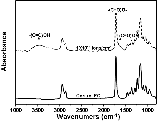 순수한 PCL과 1 x 1015 ions/cm2의 이온이 주입된 PCL의 FT-IR 스펙트럼
