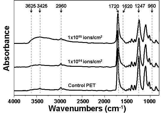 다양한 이온주입조건에서 처리된 PET의 FT-IR 스펙트럼