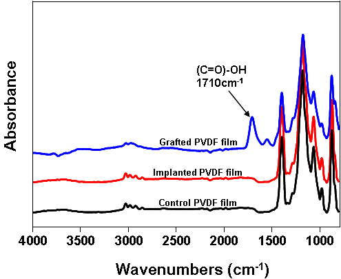 이온주입한 PVDF와 폴리아크릴산이 그라프트된 PVDF의 FT-IR 스펙트럼
