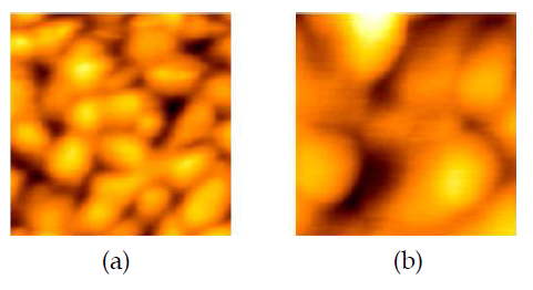 AFM을 이용한 박막 표면 이미지 분석;(a) 고체기판, (b) 항체.