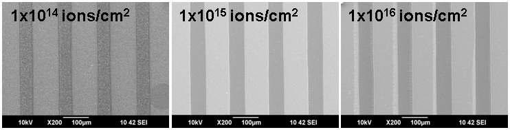 다양한 이온주입량에서 형성된 PHS 패턴들의 SEM 사진.