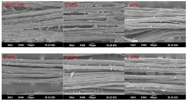 그림 7-1. SEM images of kenaf fibers as a function of the NaOH concentration. (x100)