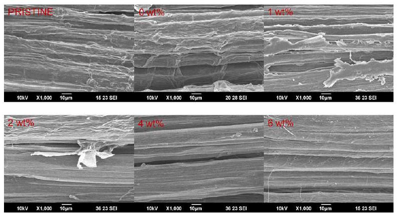 그림 7-2. SEM images of kenaf fibers as a function of the NaOH concentration. (x1,000)