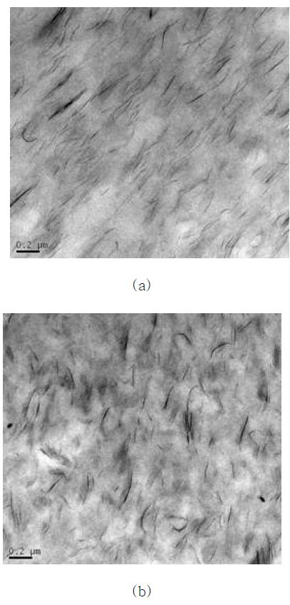 그림 8-18. TEM images of EVA/clay nanocomposites with (a) and without (b) sonication before e-beam irradiation