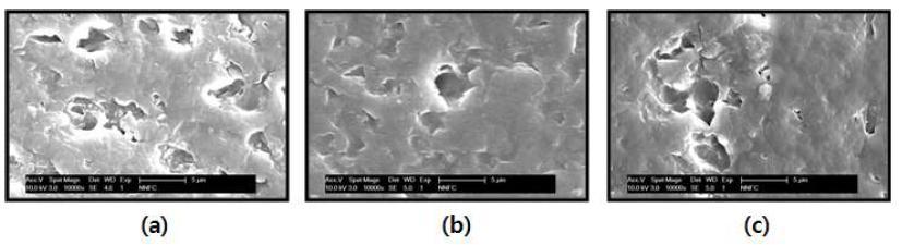 그림 8-69. FE-SEM images of 150 kGy electron beam irradiated HDPE/α-Al2O3 composites using melt blending : α-Al2O3 concentration; (a) 1 wt%, (b) 2 wt%, and (c) 3 wt%, respectively