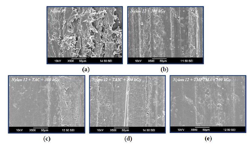 그림 9-12. SEM images of nylon 12 at 300 kGy depending on the various cross-linking systems