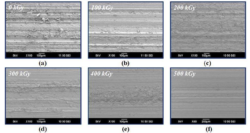 그림 9-14. SEM images of nylon 6 depending on the radiation dose
