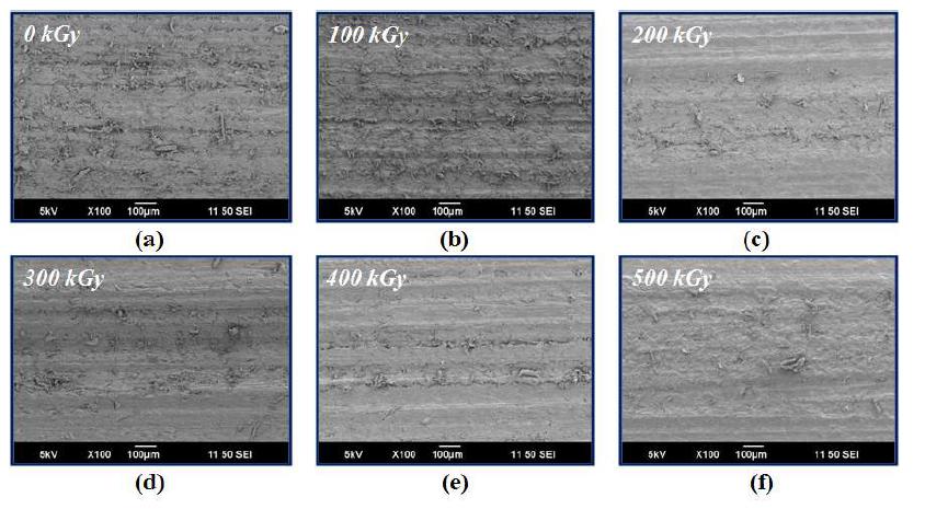 그림 9-16. SEM images of nylon 6 with TMPTMA depending on the radiation dose