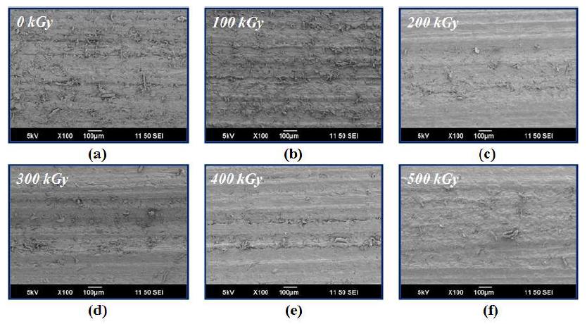 그림 9-18. SEM images of the glass fiber reinforced nylon 6 depending on the radiation dose