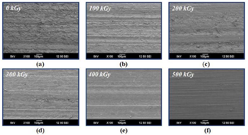 그림 9-20. SEM images of the glass fiber reinforced nylon 6 with TMPTMA depending on the radiation dose (a) 0 kGy (b) 100 kGy (c) 200 kGy (d) 300 kGy (e) 400 kGy (f) 500 kGy.