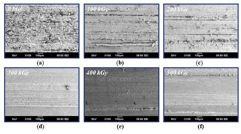 그림 9-24. SEM images of the glass fiber reinforced PBT depending on the radiation dose