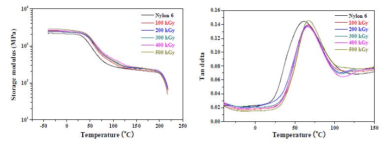 그림 9-35. DMA curves for electron beam irradiated nylon 6 depending on the radiation dose