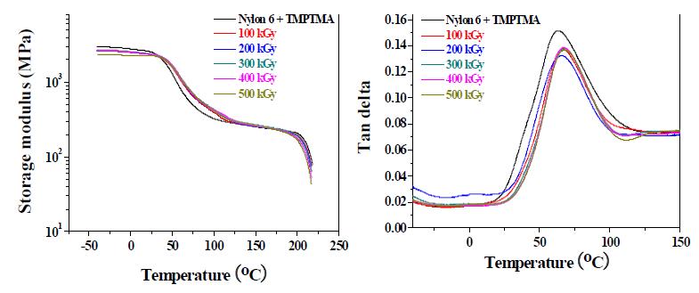 그림 9-36. DMA curves for electron beam irradiated nylon 6 with TMPTMA depending on the radiation dose.