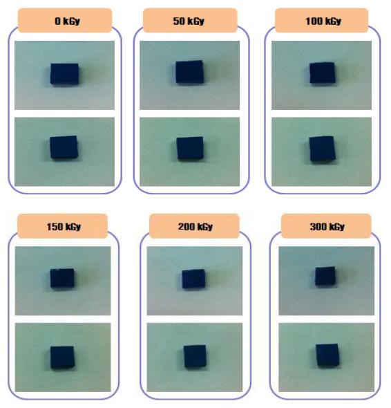 그림 10-6. 전자선 흡수선량에 따른 불소고무의 체적증가율 실험 전후 비교 사진.