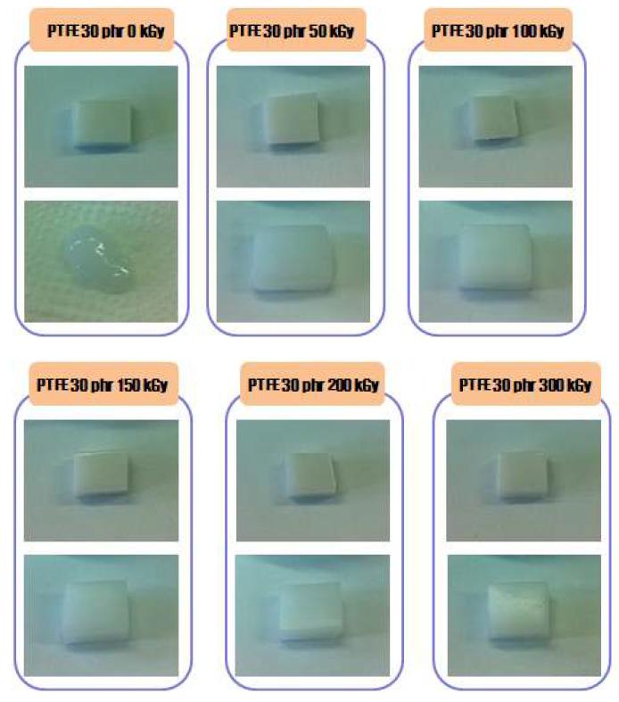 그림 10-32. 전자선 흡수선량에 따른 PTFE 30 phr 함량 EPDM/PTFE 열가소성 엘 라스토머의 체적증가율 실험 전후 비교 사진