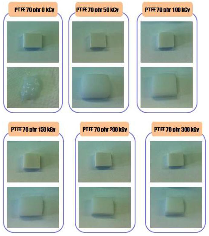 그림 10-34. 전자선 흡수선량에 따른 PTFE 70 phr 함량 EPDM/PTFE 열가소성 엘 라스토머의 체적증가율 실험 전후 비교 사진.