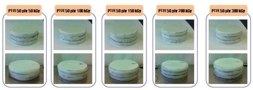 그림 10-37. 전자선 흡수선량에 따른 PTFE 50 phr 함량 EPDM/PTFE 열가소성 엘 라스토머의 압축영구줄음률 실험 전후 비교 사진.