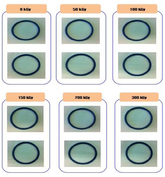 그림 10-42. 전자선 흡수선량에 따른 FR o-ring 체적증가율 실험 전후 비교 사진.