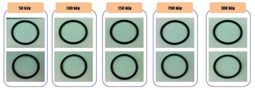 그림 10-46. 전자선 흡수선량에 따른 Kalrez o-ring의 체적증가율 실험 전후 비교사 진.
