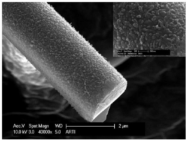 그림 1-12. SEM image of PTC fiber.