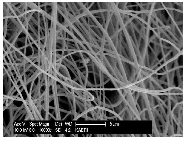 그림 1-14. SEM image of PAN/Ti(OBu)4 fiber.