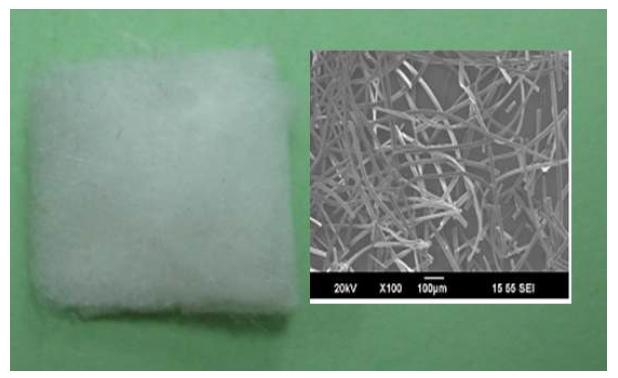 그림 2-5. Picture and SEM image of electrospun fiber.