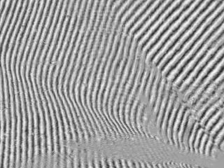 Typical fringe pattern obtained using the moire microscope